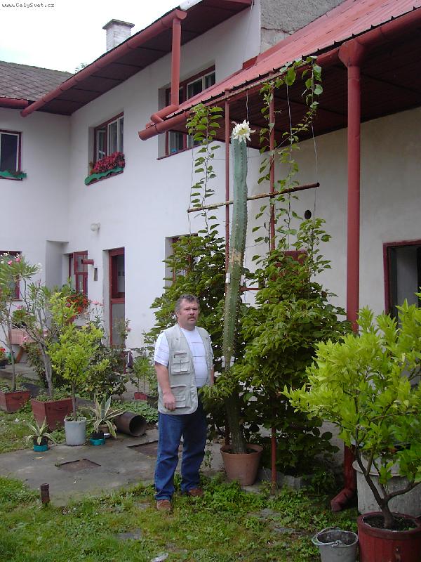 Foto: P�erostl mne.