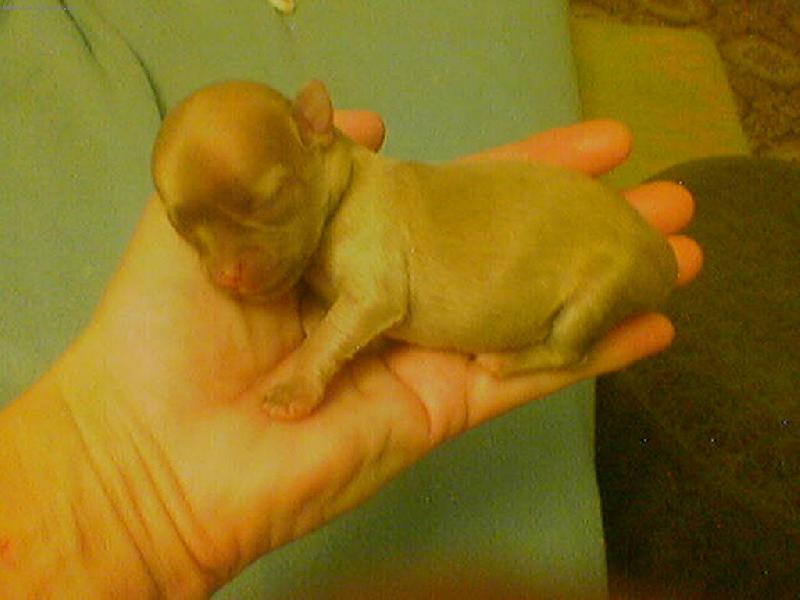 Foto: �t�st� se vejde do dlan�