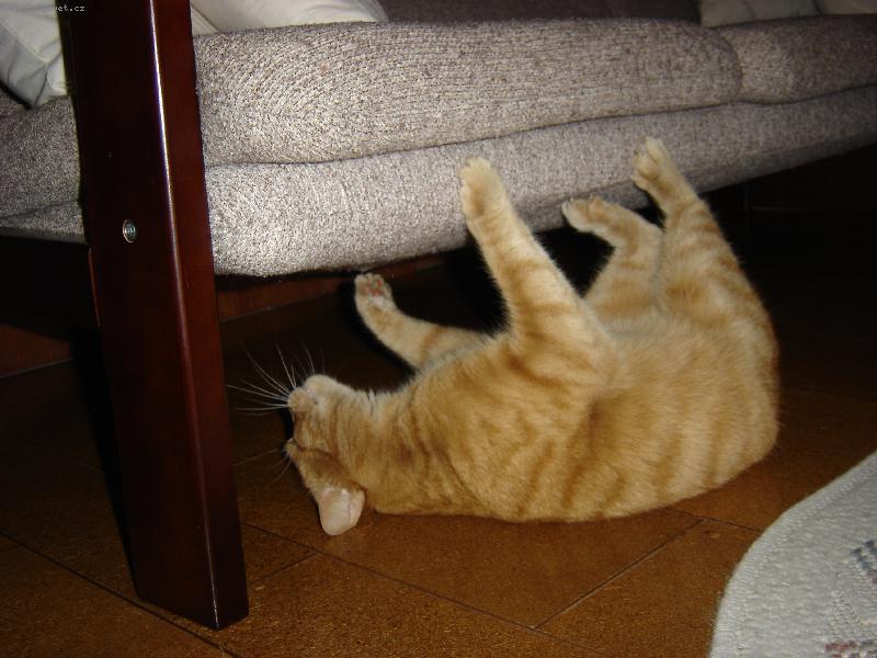 Foto: hlavn� ukl�ze� Kuba-vyt�r�n� podlahy