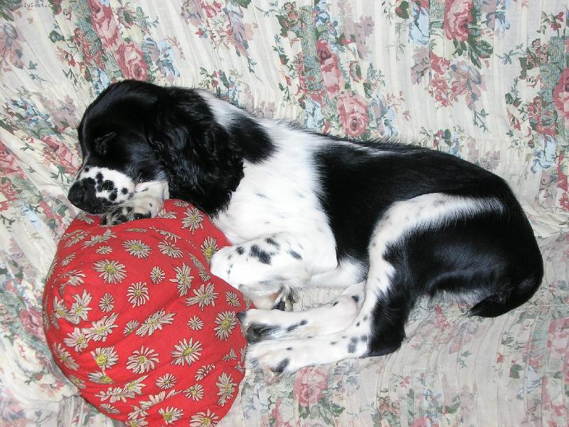 Foto: Spr�vn� poloha-A� hl�d� p�n