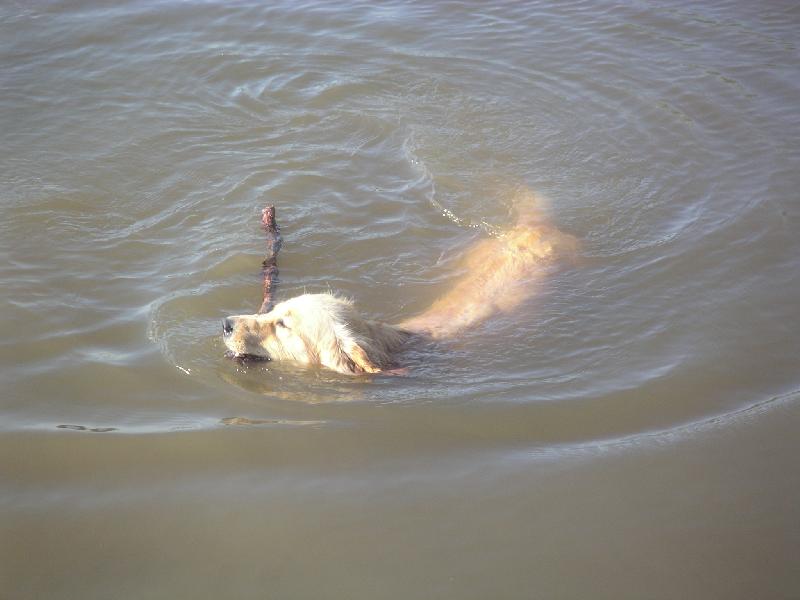 Foto: p�ines klac�k,p�ines!