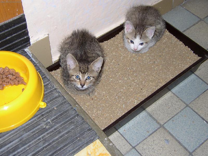 Foto: KUK-My tady jen tak sed�me...:-D