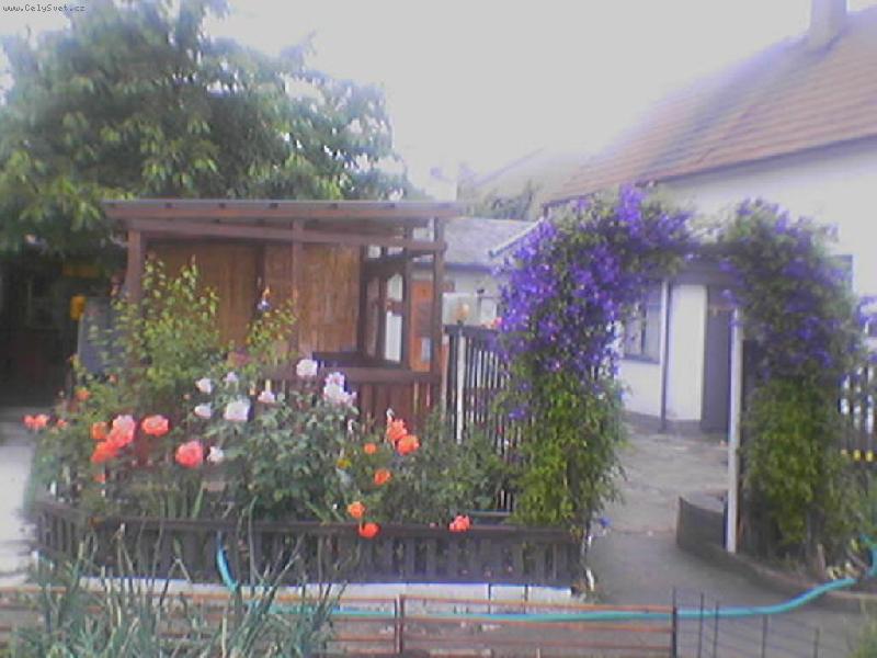 Foto: Clematis-lo�sk� l�to