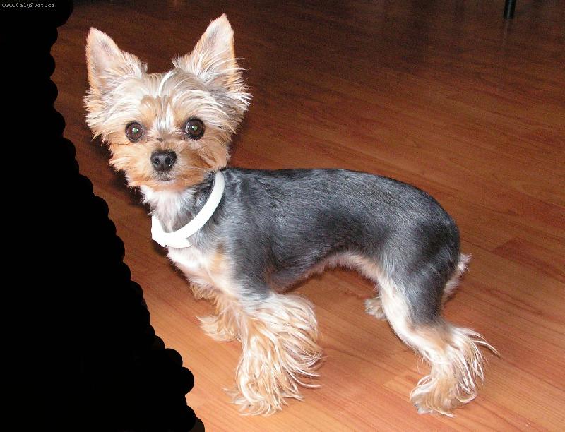 Foto: Na�e miminko