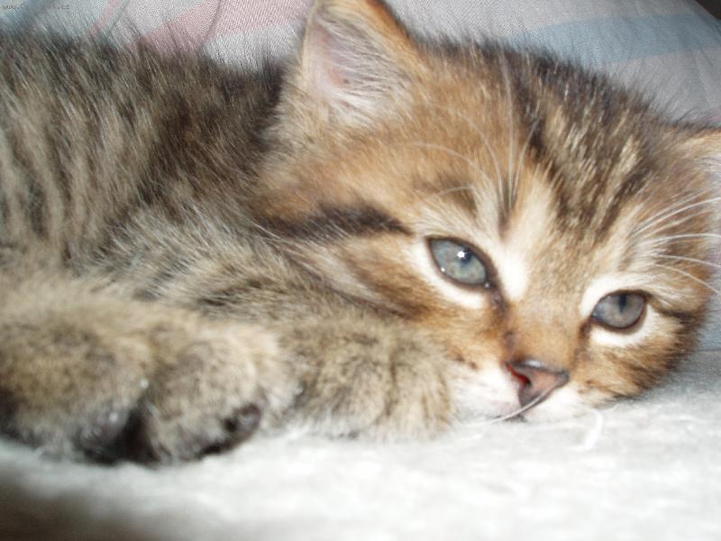 Foto: Happy-asi u� ty o�i v�n� neudr��m...