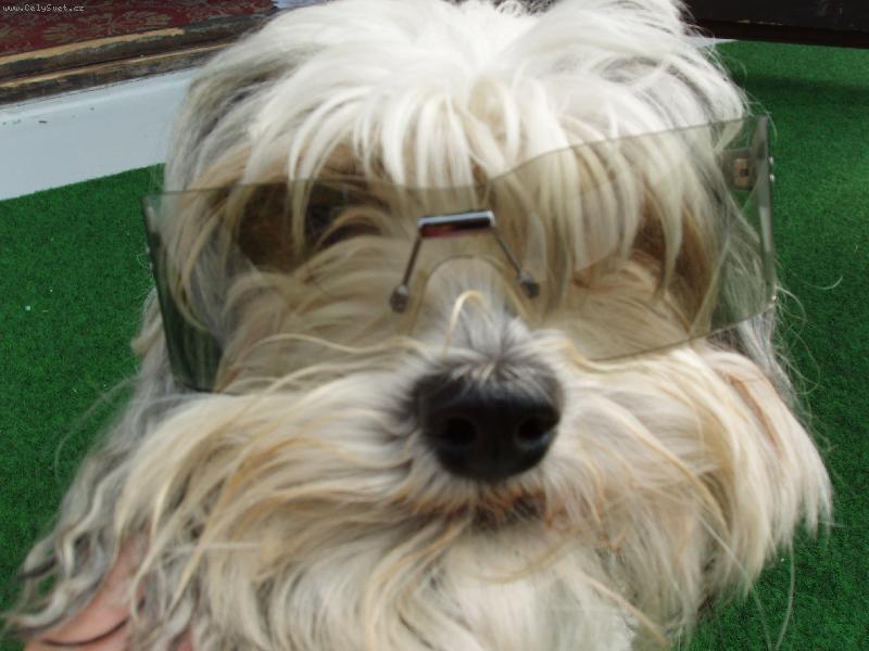 Foto: Rocky-Jsem Jackson... kdo je v�c??