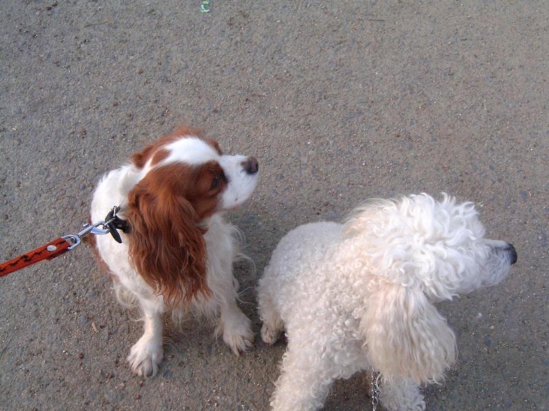 Foto: Luc��ka-Mi�ka probehla!!!!!!!