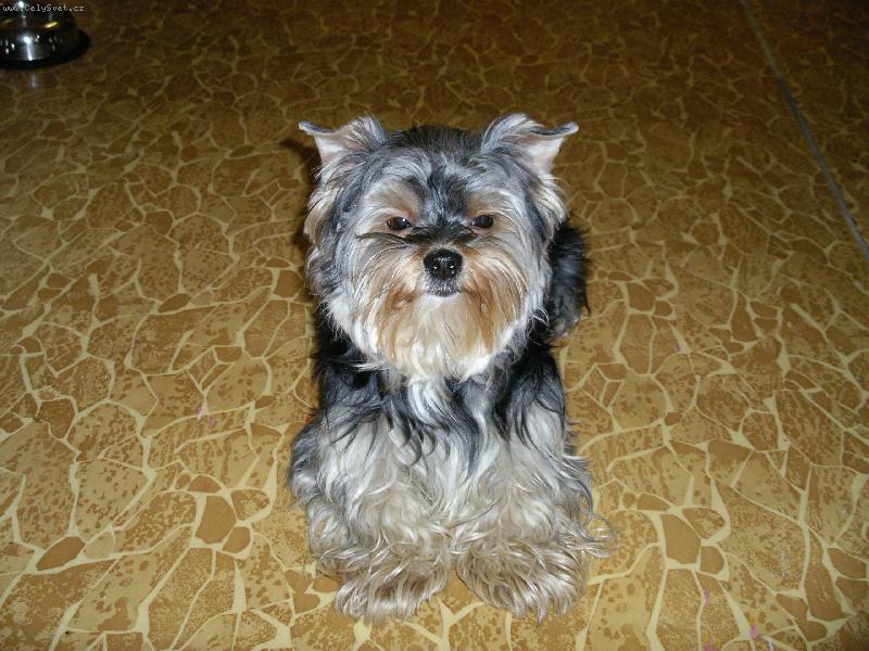 Foto: Tro�ku napitej....:-)