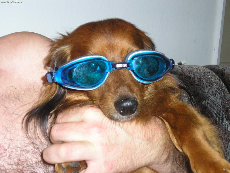 Foto: ferda plav��k-p��prava na sezonu