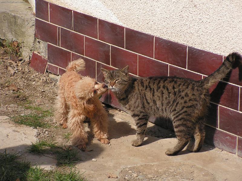 Foto: Prost� se m�me r��di.-M�j dobr� kamar�d.