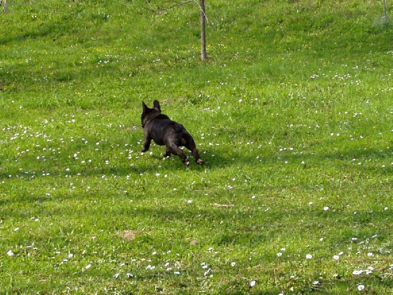 Foto: skok-j� si sk��u