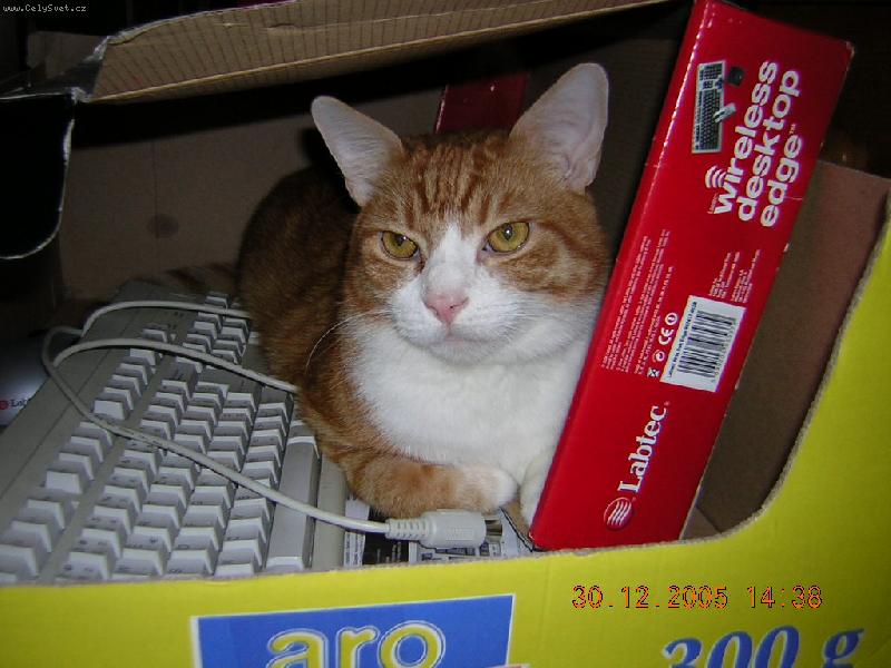 Foto: na internetu jsem doma