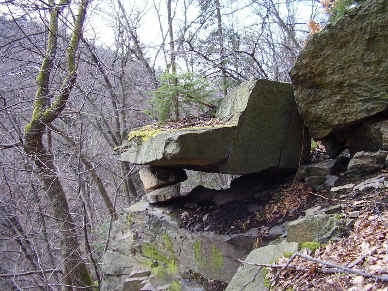 Foto: U nas v lese 3