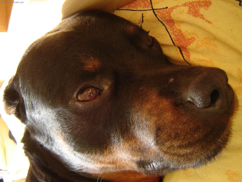 Foto: Neru�it,relaxuji.