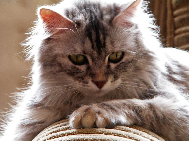 Foto: mex-To jsem kr�sn� !!!!