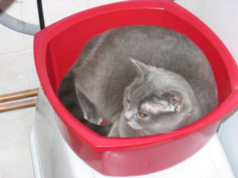 Foto: Beru�ka-To je pohoda