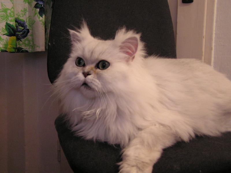 Foto: Zoro-Nev�m kam bych se d��v pod�val