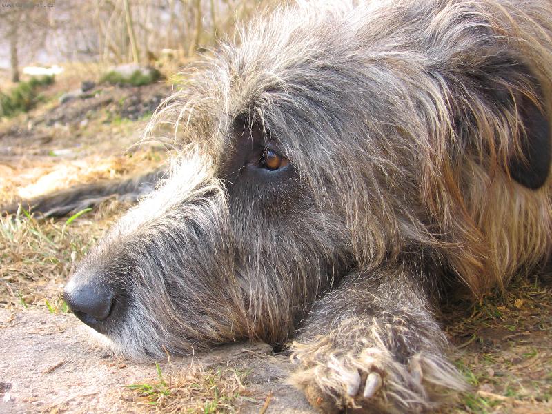 Foto: Arty-Zamy�len�