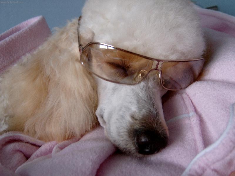 Foto: spr�vn� ochrama proti slun��ku