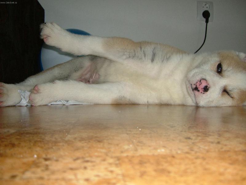 Foto: To je par����������da Hmmmmmmmmmmmm-Daibo - Vesm�r