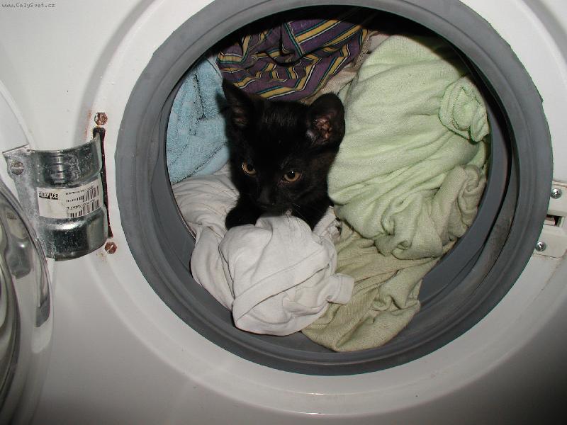 Foto: obliben� miste�ko