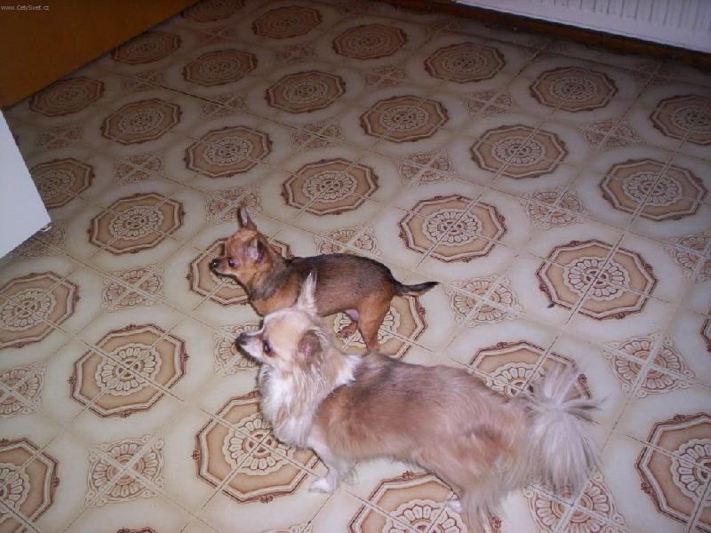 Foto: my dva a mls�n�