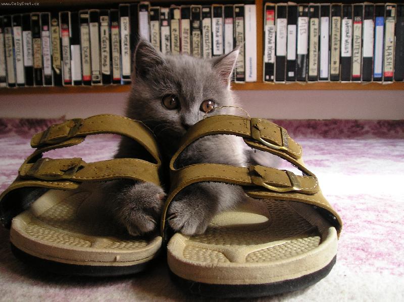 Foto: Fanda v bot�ch-...u� abych do nich dorostl....