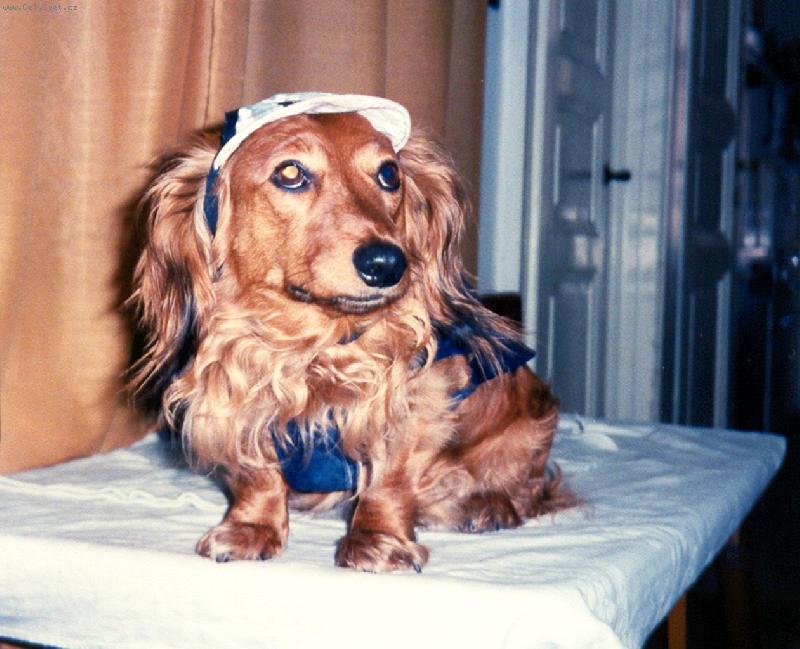 Foto: Babetka-Jde se ven