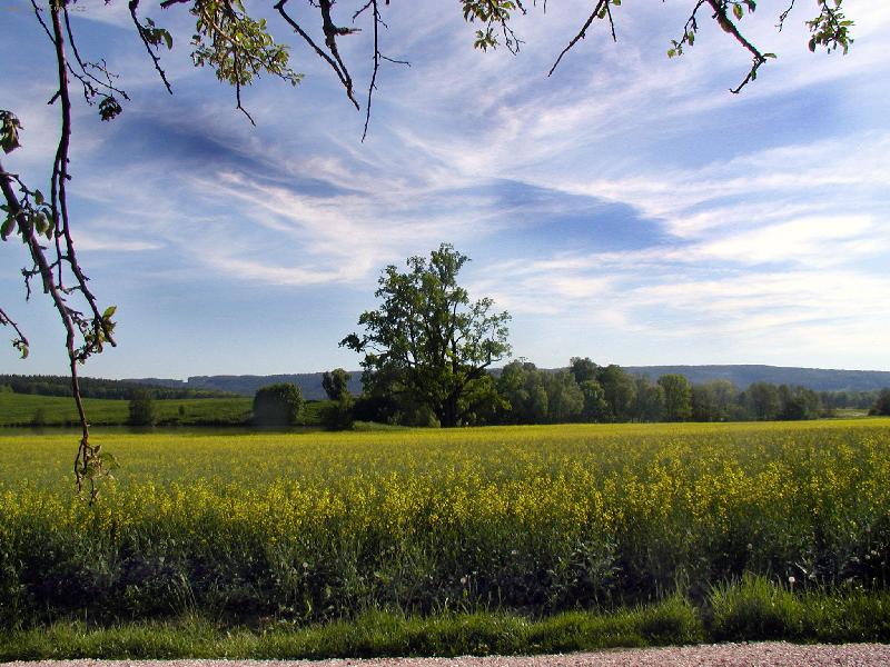 Foto: na proch�zce