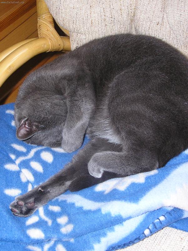 Foto: odpo��v�m, neru�it! :-) I