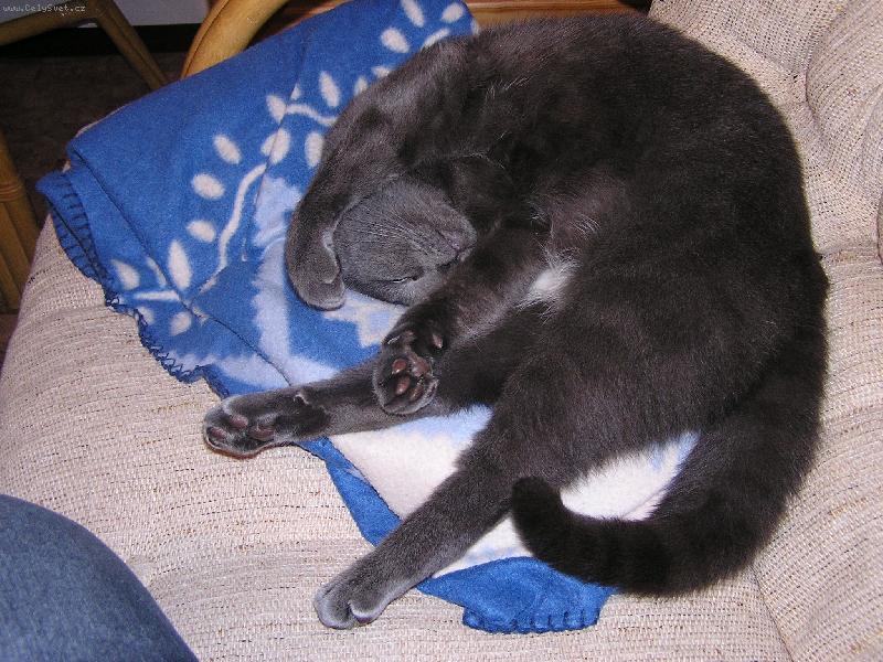 Foto: odpo��v�m, neru�it! :-) III