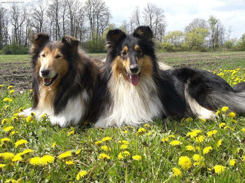 Foto: Ulvar a Beky-30.4. 2006