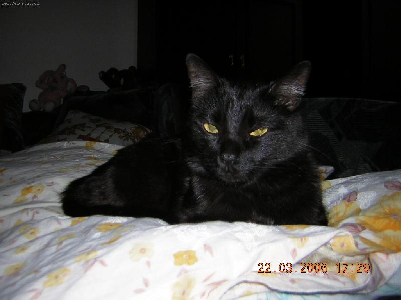 Foto: v pe�in�ch