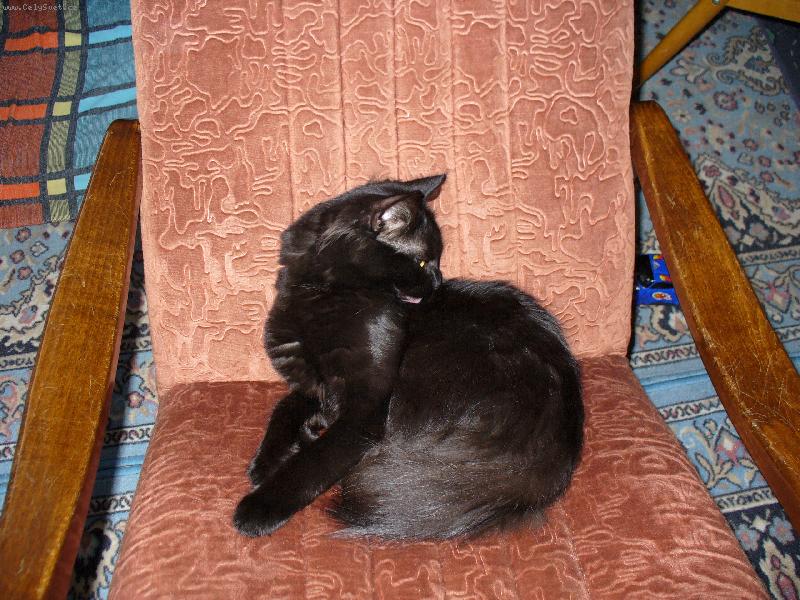 Foto: Mike�-Chci se pohoupat....