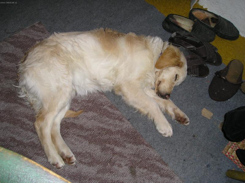 Foto: ve�ern� odpo�inek