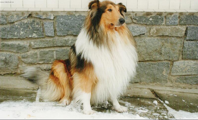 Foto: Max�k-Alan pod Zelenou Horou