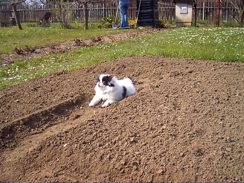 Foto: J� ten z�hon dod�l�m.