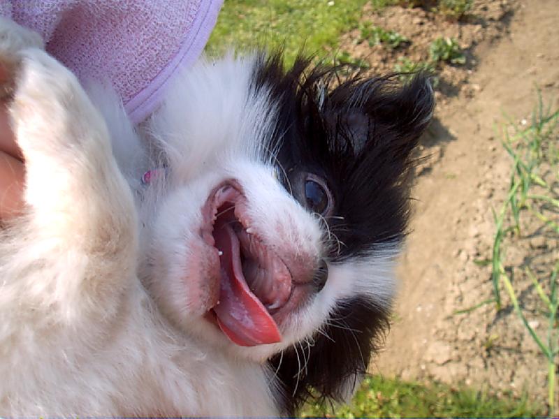 Foto: Z�hon nedod�l�m,chytili m�.