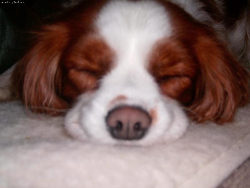 Foto: Luc����ek