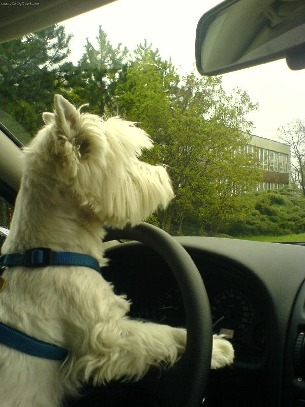 Foto: M�a-Pozor! Jeduuu