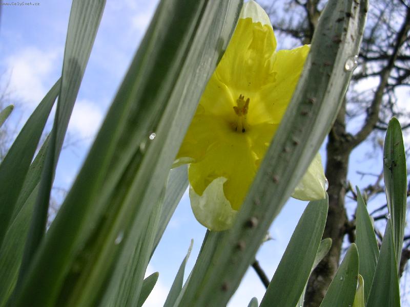 Foto: Kone�n� jaro