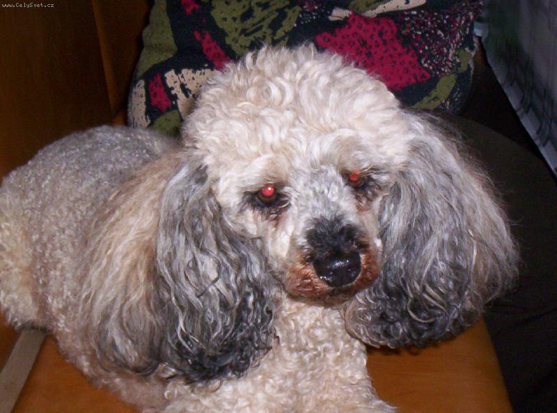 Foto: Ketynka-To se j��������