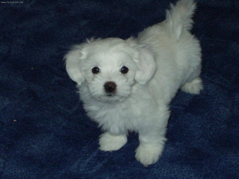 Foto: co to d�l�??