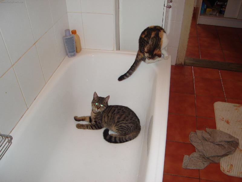 Foto: �ek�n� na koupel-...tak kdy u� pote�e?