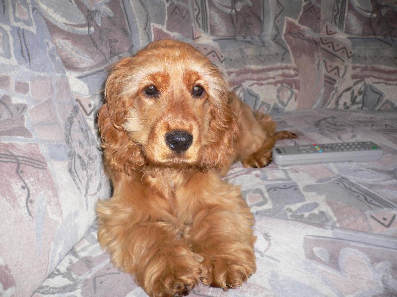 Foto: TO JE MOJE ZLAT��KO