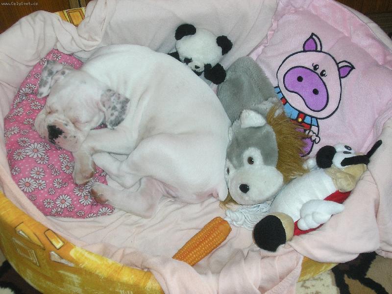 Foto: Fan�nek-moc r�d spink�m...