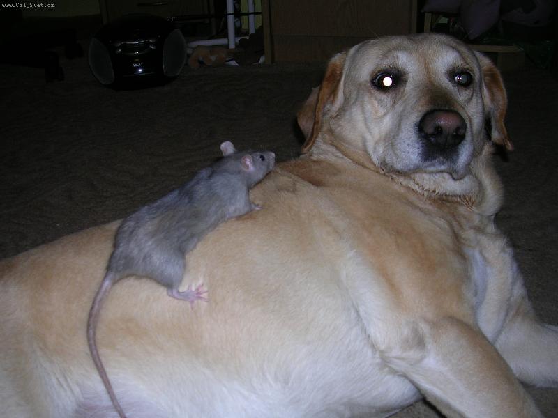 Foto: Sany a Metaxa-Kuk :-)))))