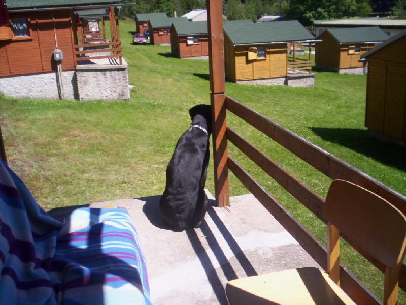 Foto: Kimi-Kampak jste mi ode�li?