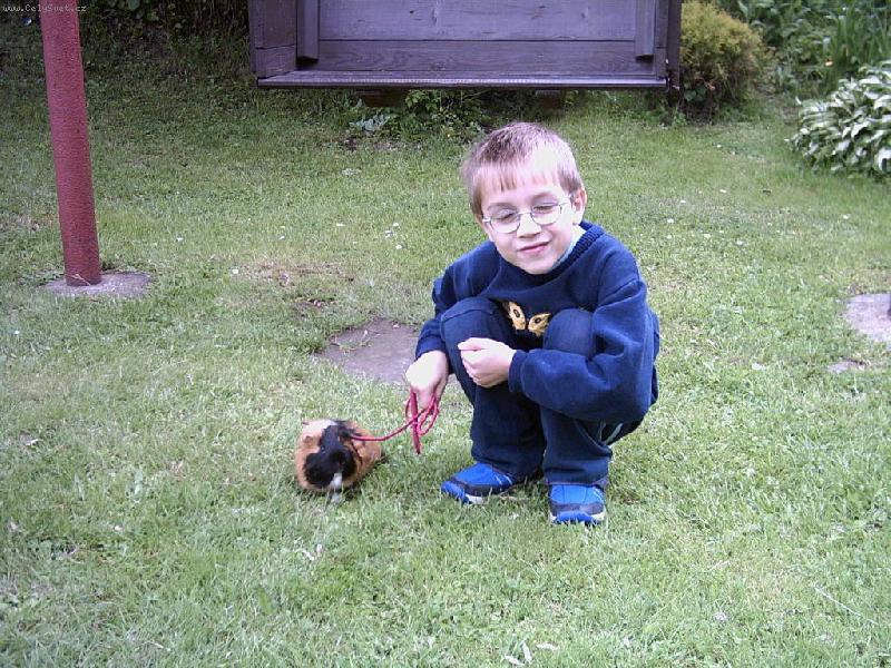 Foto: Ven�en�-Kdy� mi nekoupili pejska tak budu ven�it alespo� tebe Denny!!