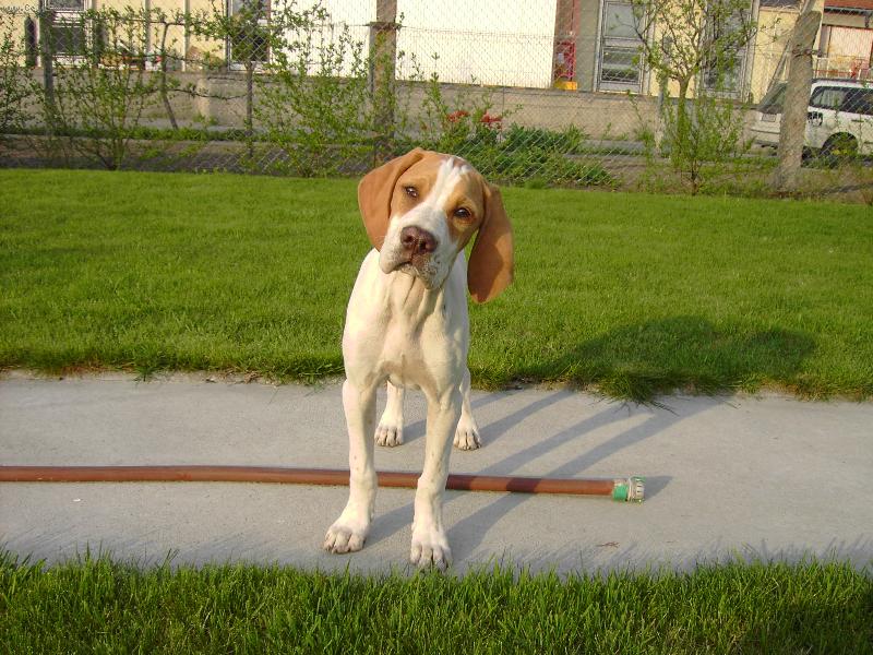 Foto: Max�k vym��l�-poj�me rozkousat t�eba hadici....